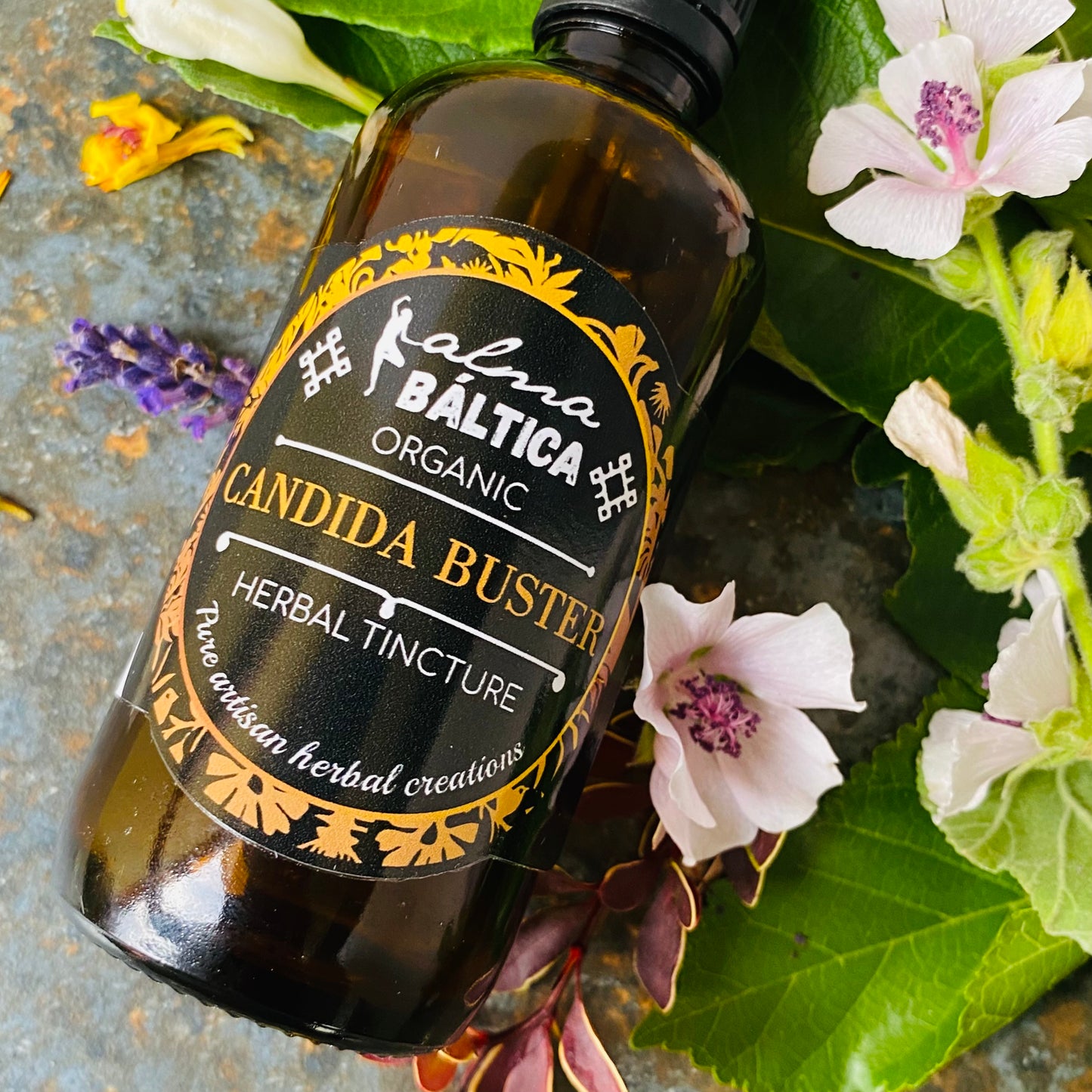 Candida Overgrowth Relief Tincture