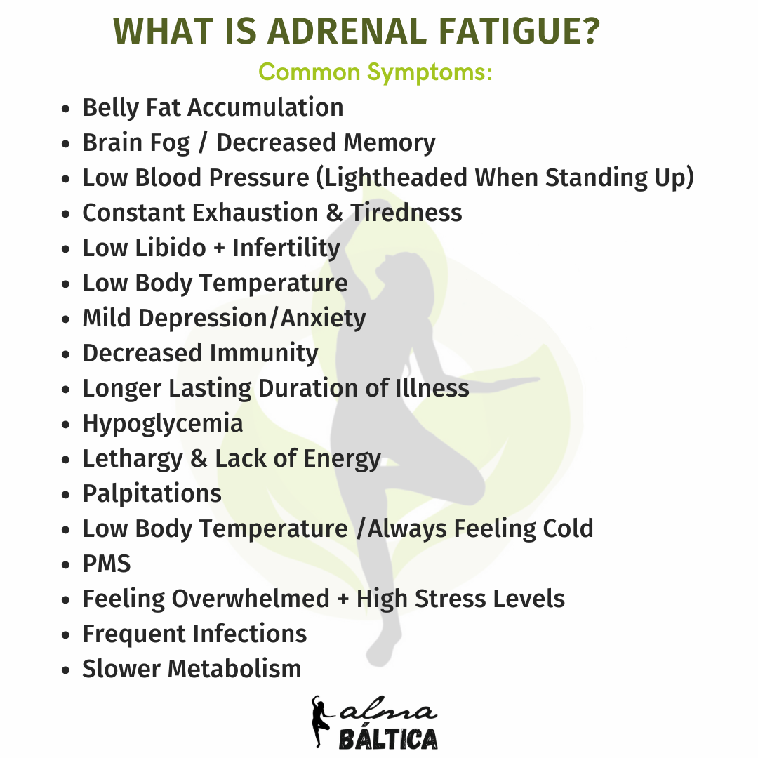what is adrenal fatigue