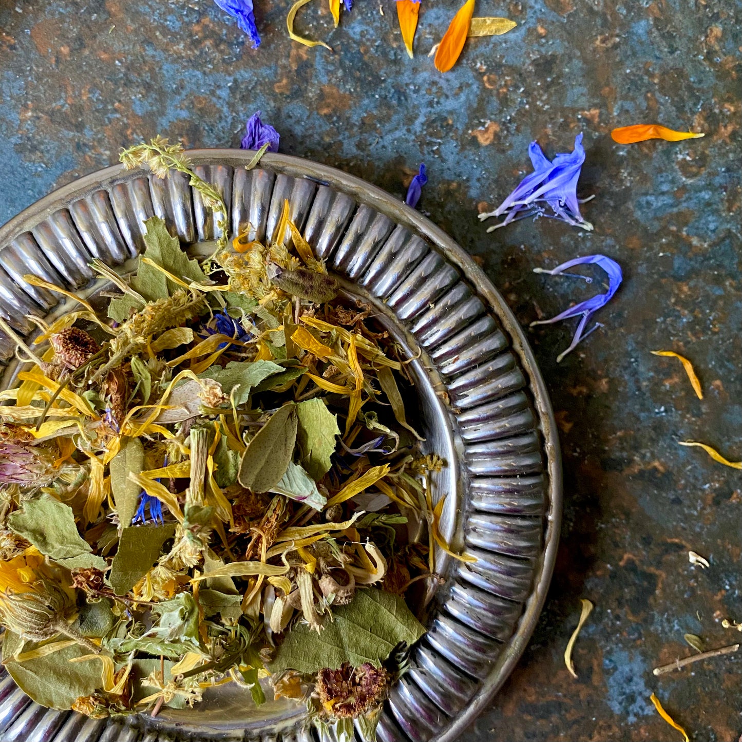 herbal tea for UTI