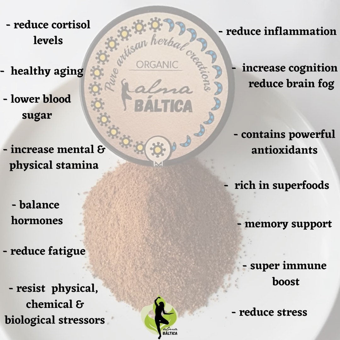 adaptogen powder with rhodiola and chaga benefits