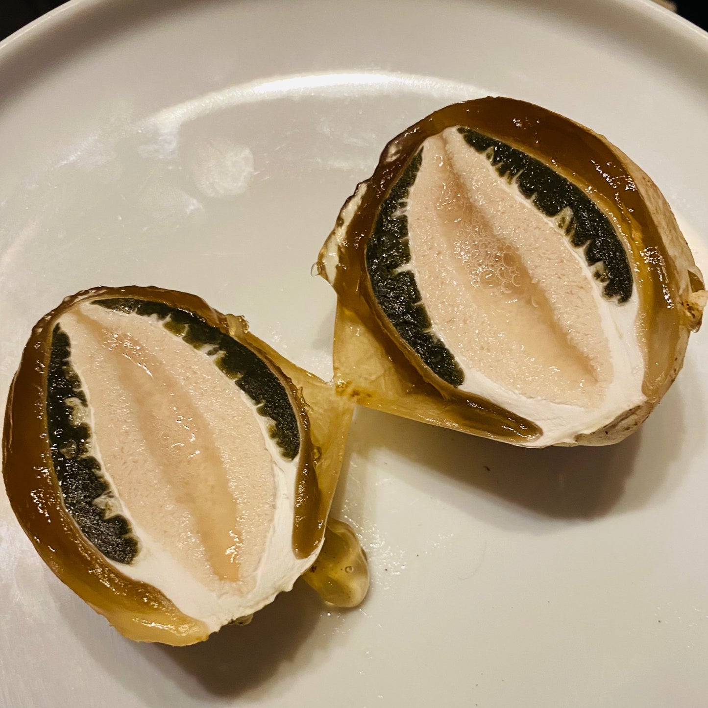 phallus impudicus extract