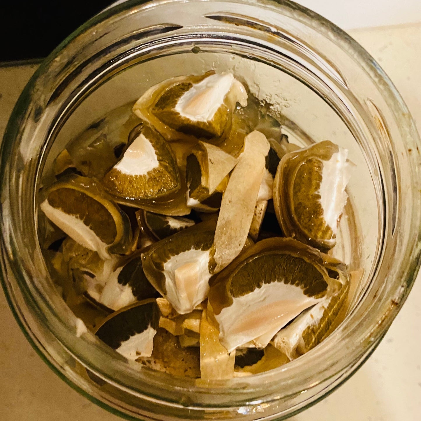 stinkhorn mushroom medicinal tincture