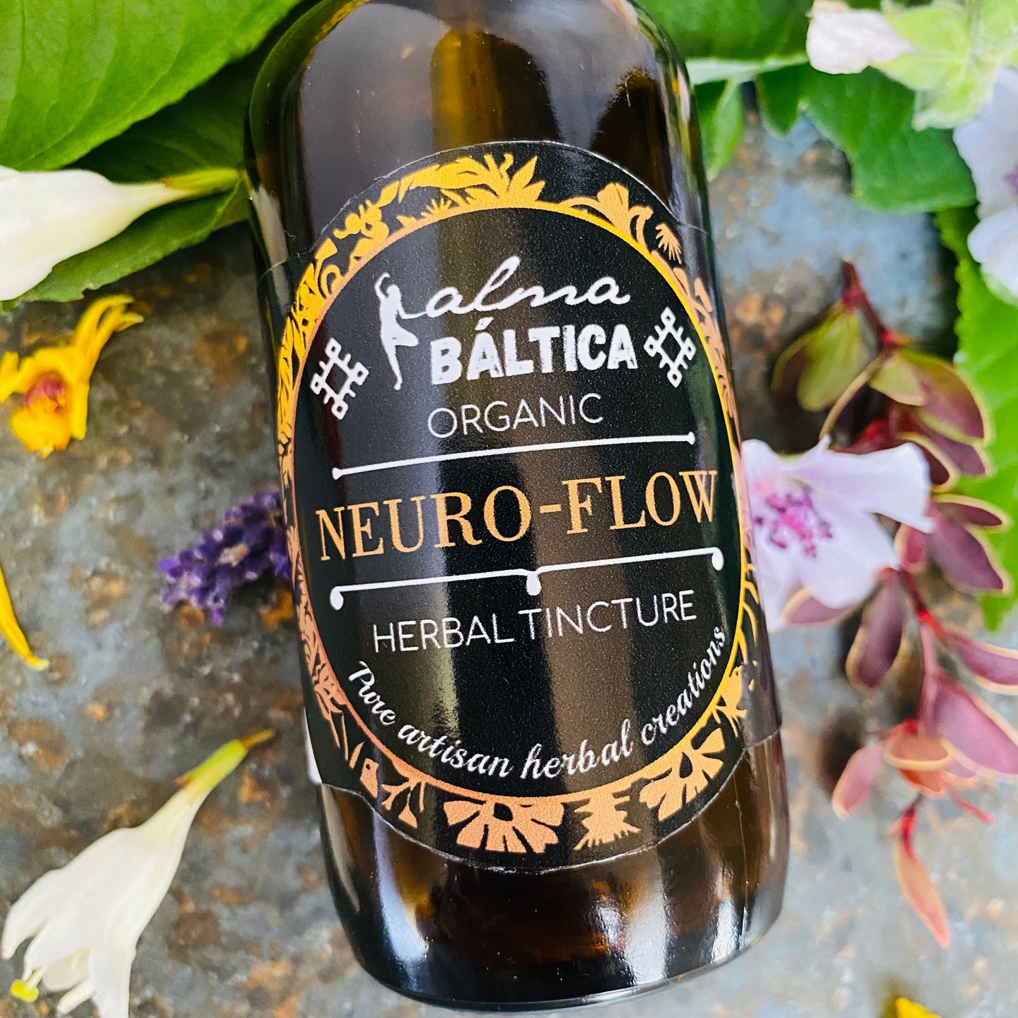 herbal cognitive enhancers