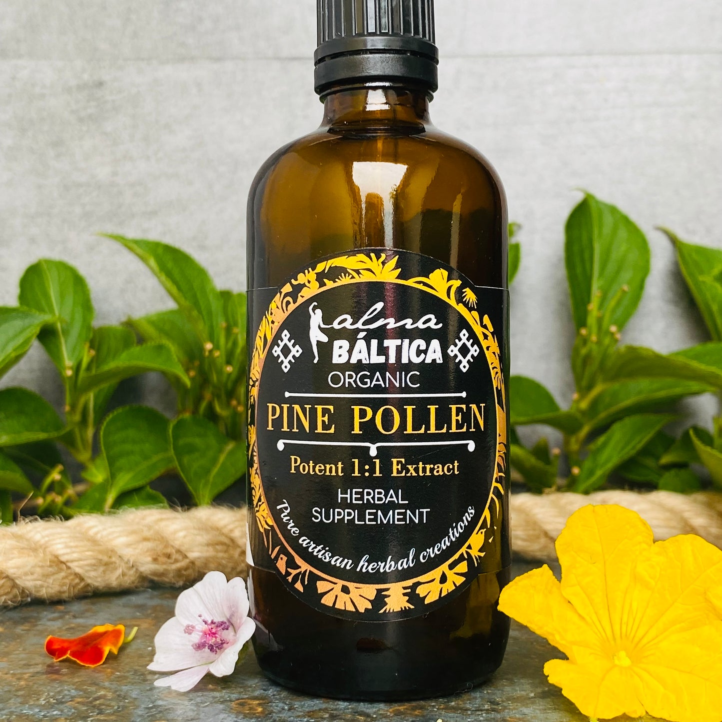 pine pollen benefits for male