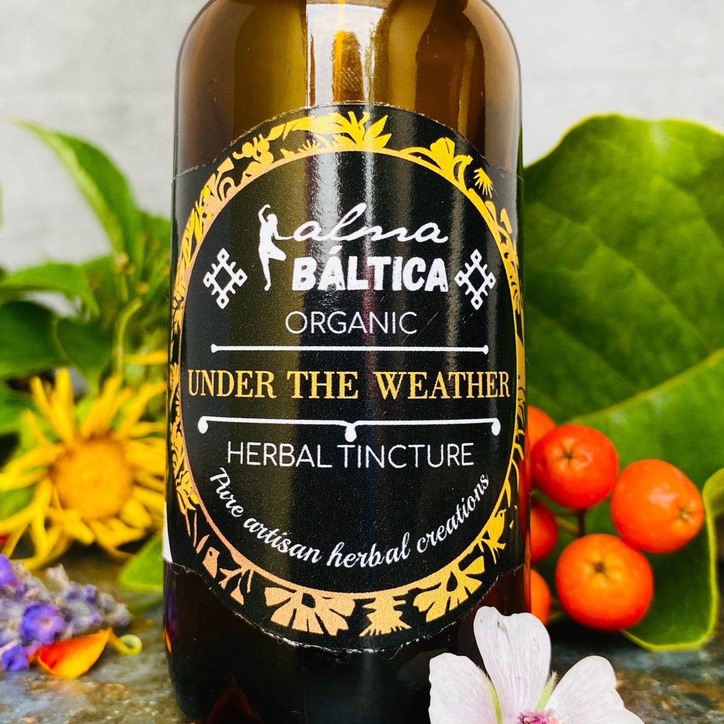 immunity boosting tinctures