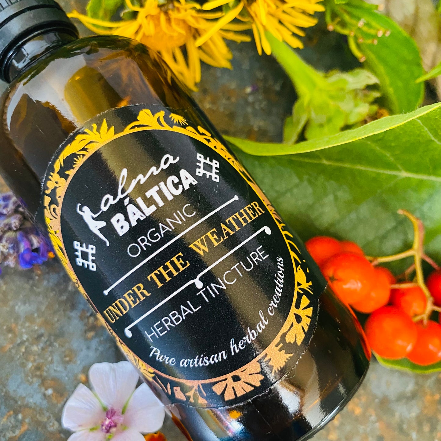 Herbal Tincture for Immune System | UNDER THE WEATHER