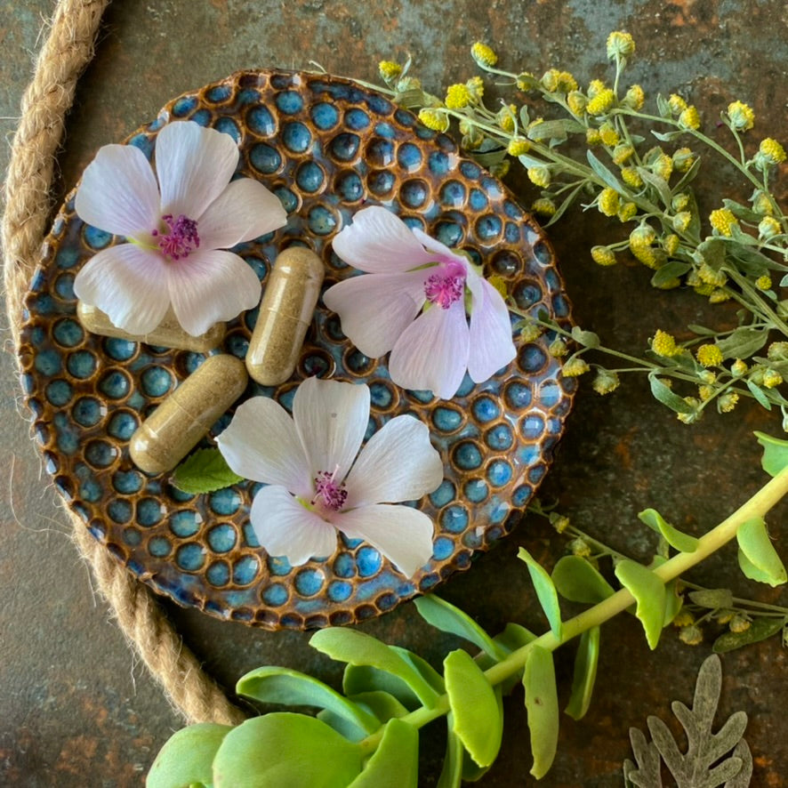 body mucus detox removing supplements