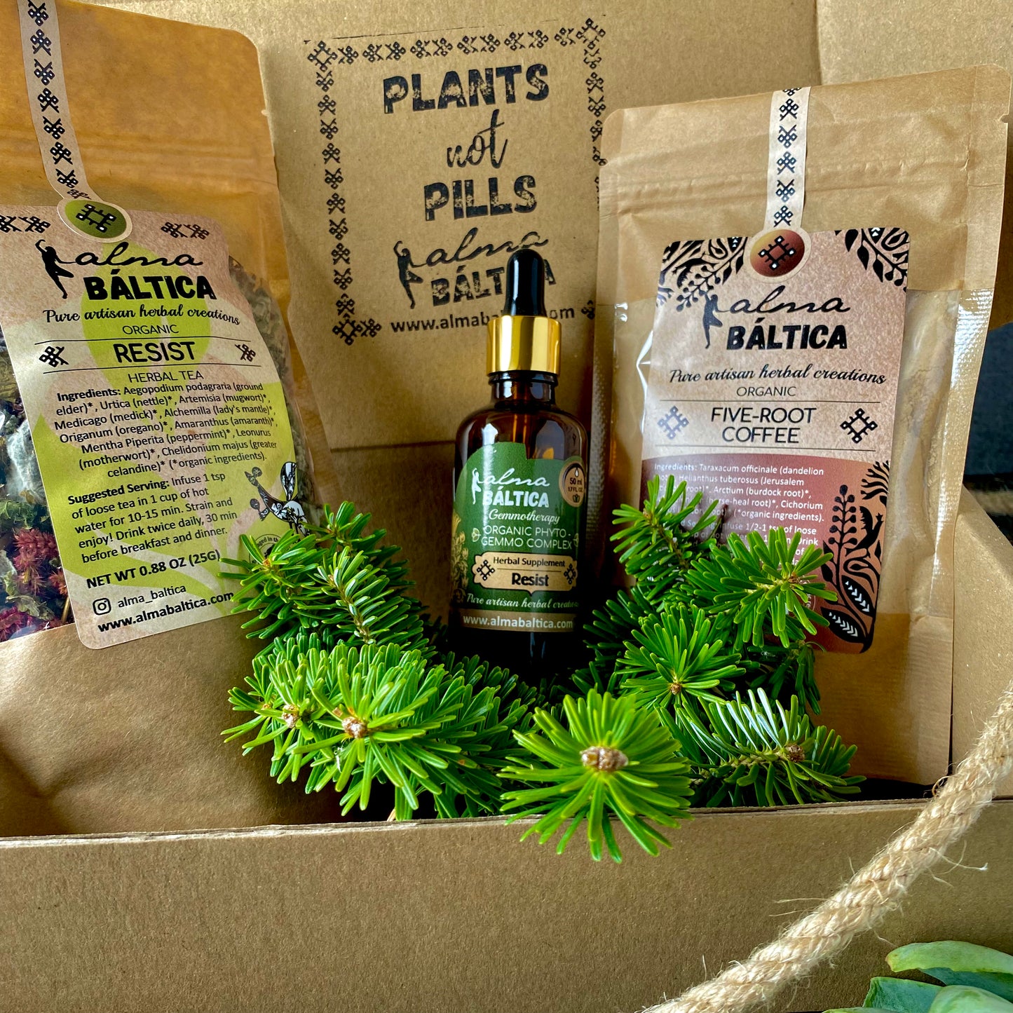 alternative medicine with plants and roots