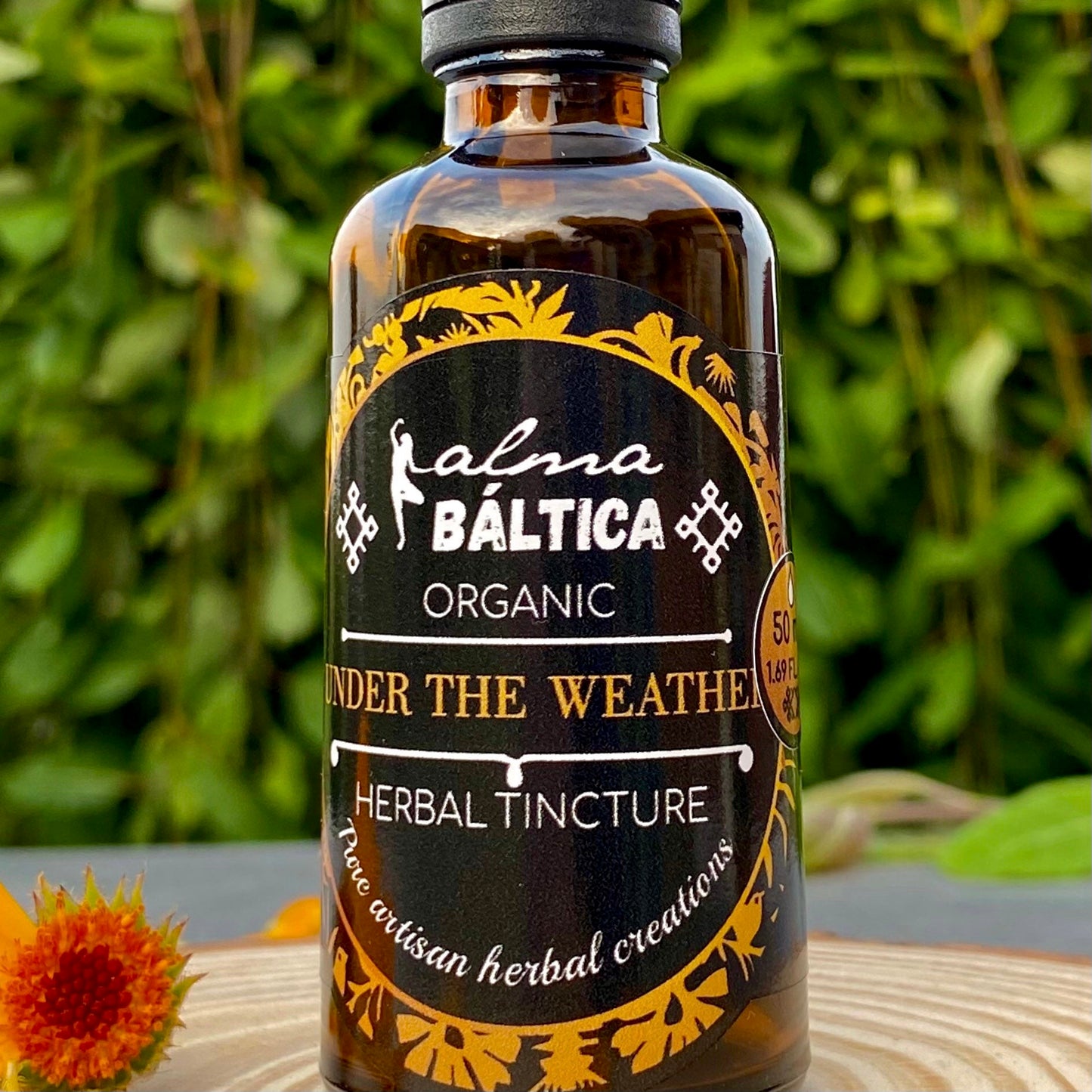 herbal tincture for cold and flu