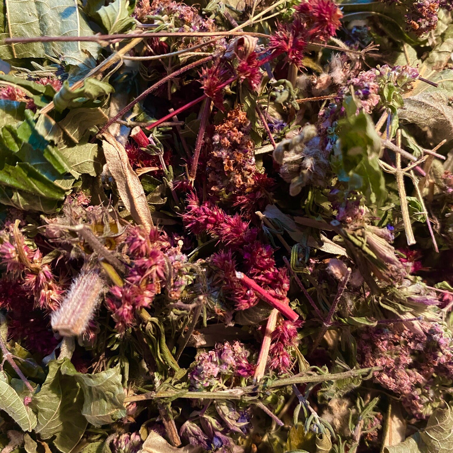 alternative healing herbs for prostate health