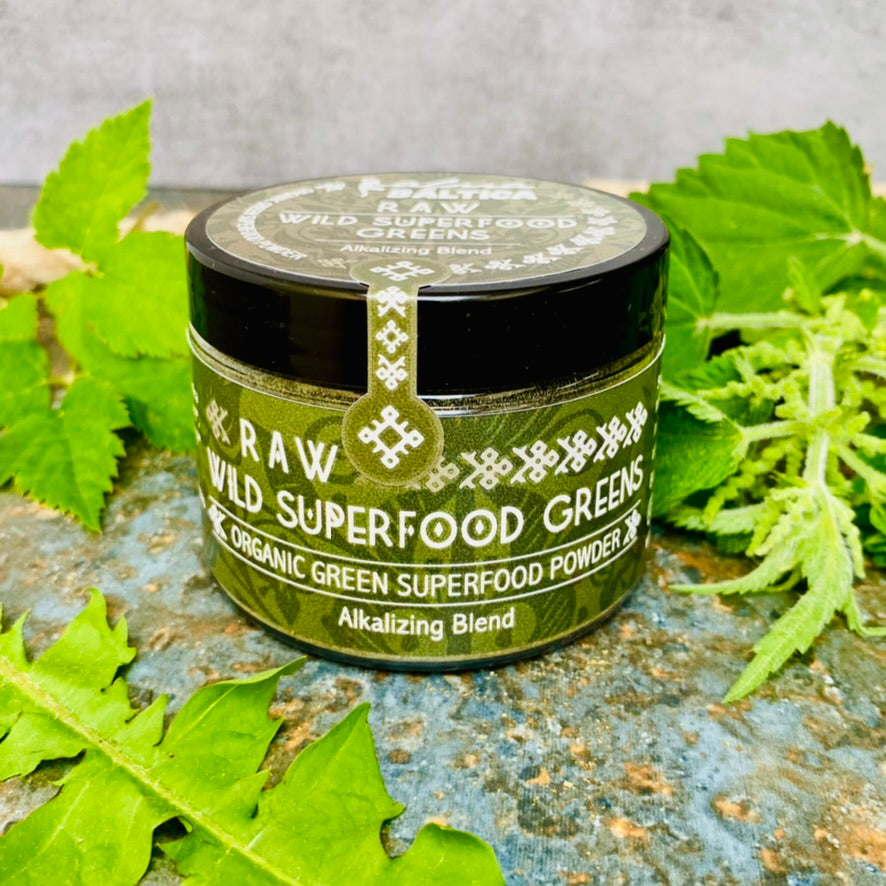 Green powder made of nettle, ground elder, wild garlic ramsons and dandelion leaves