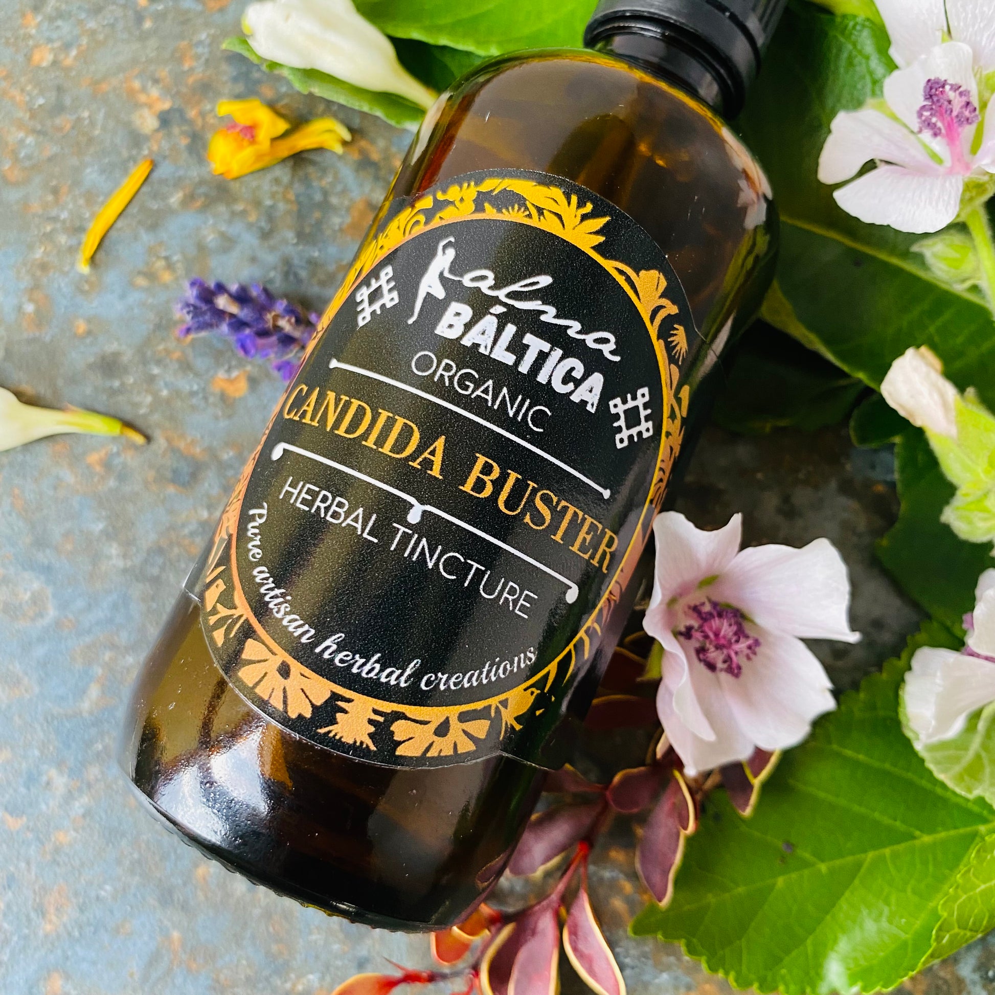 buster herbicide Candida Overgrowth Tincture