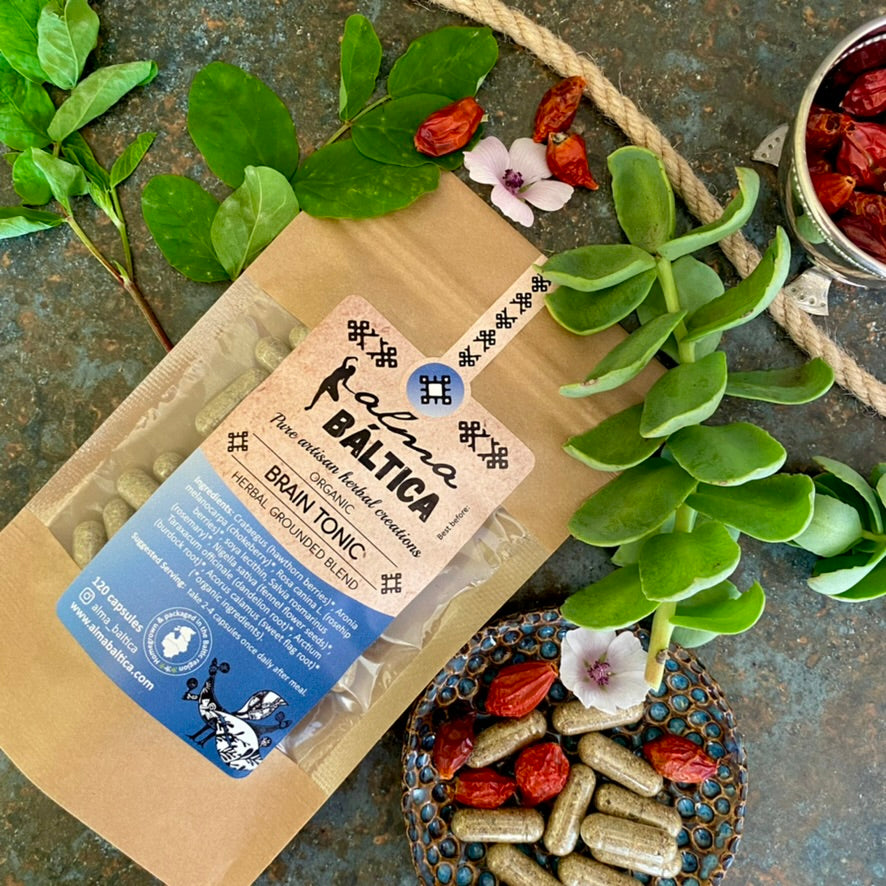 herbal brain booster supplements