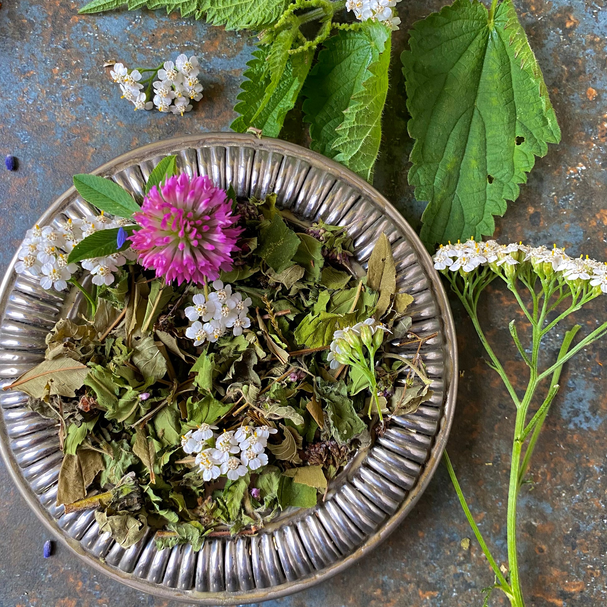 herbs for heavy metal detoxification