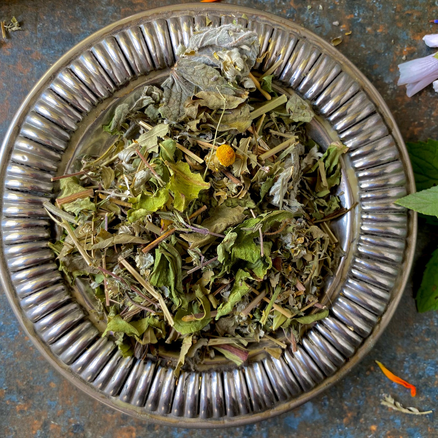 organic tea for digestion and gas