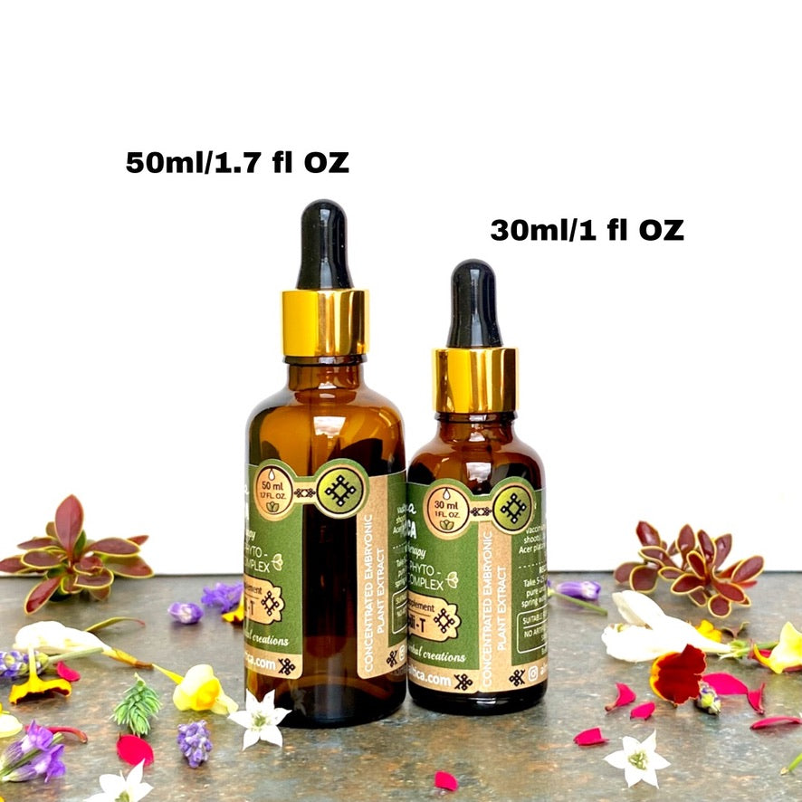 Asthma Support - Gemmotherapy Extract | BREATHE