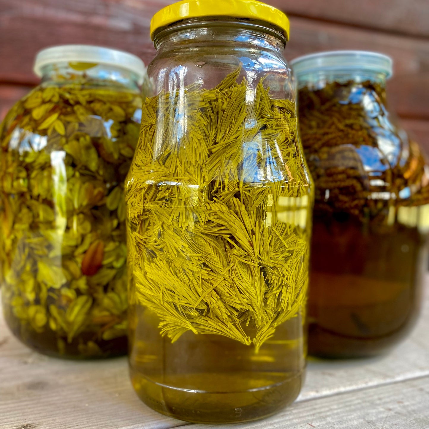 Heal-All & Self-Heal - Gemmotherapy Extract | RESIST