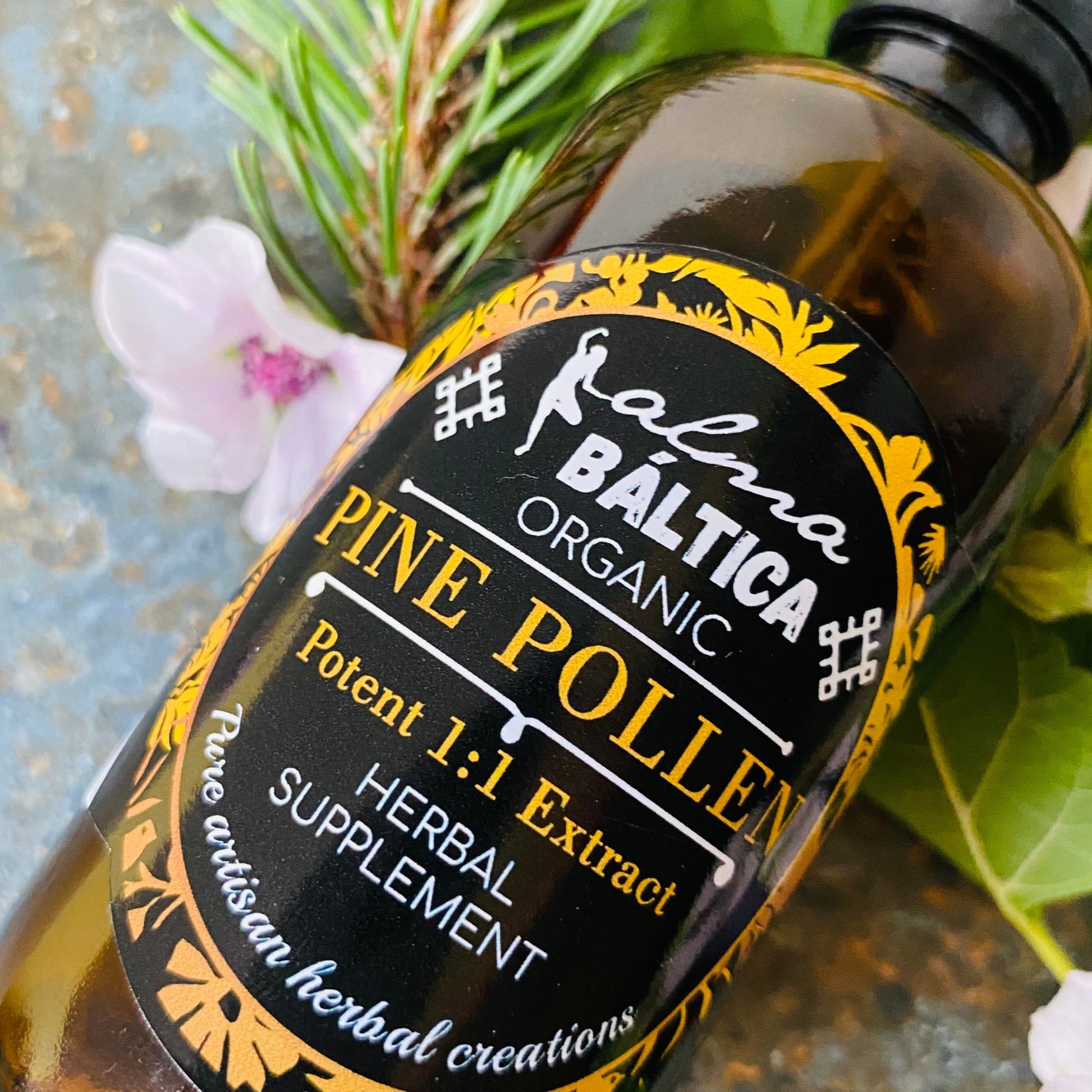 pine pollen tincture reviews 