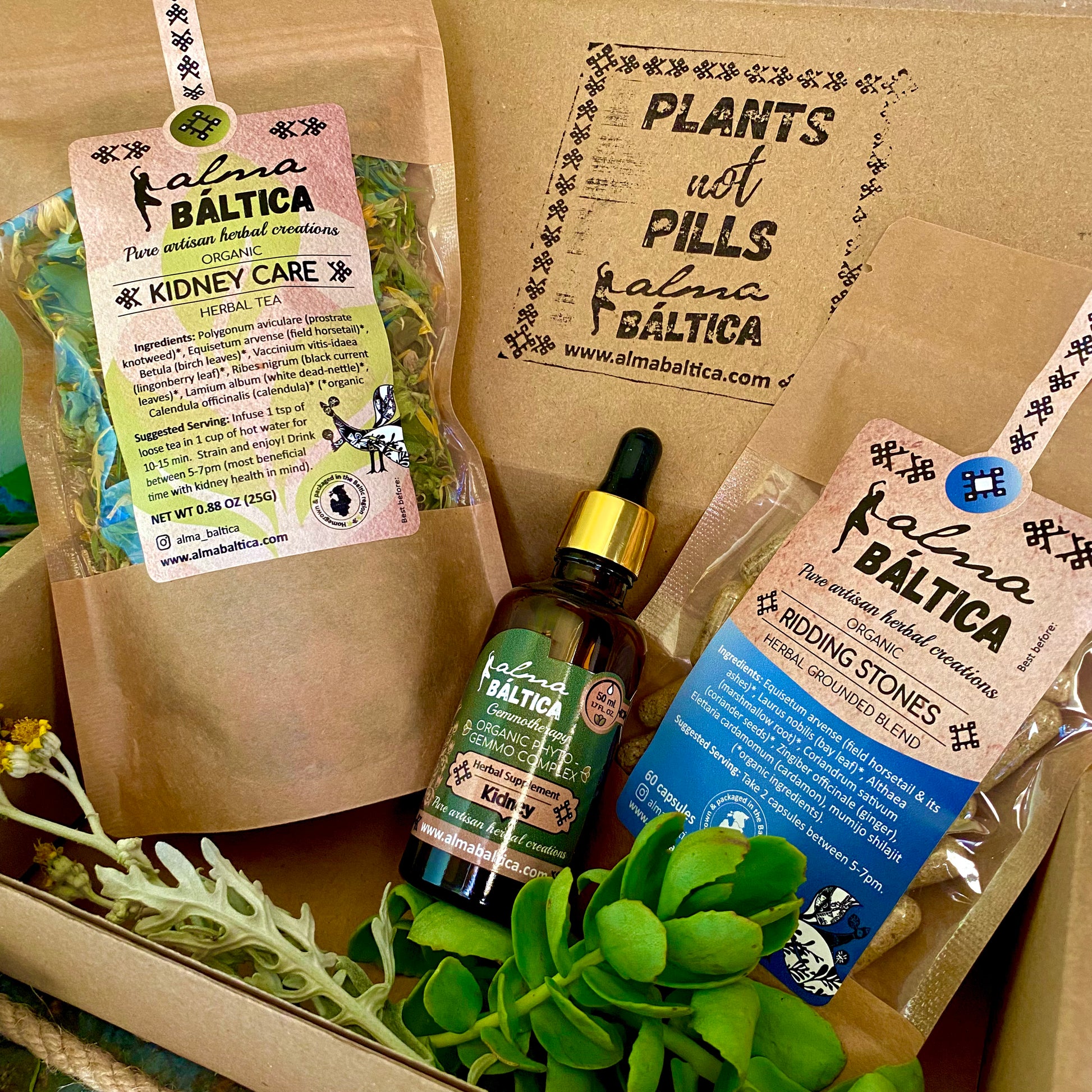 herbal supplements for kidney and urinary incontinence