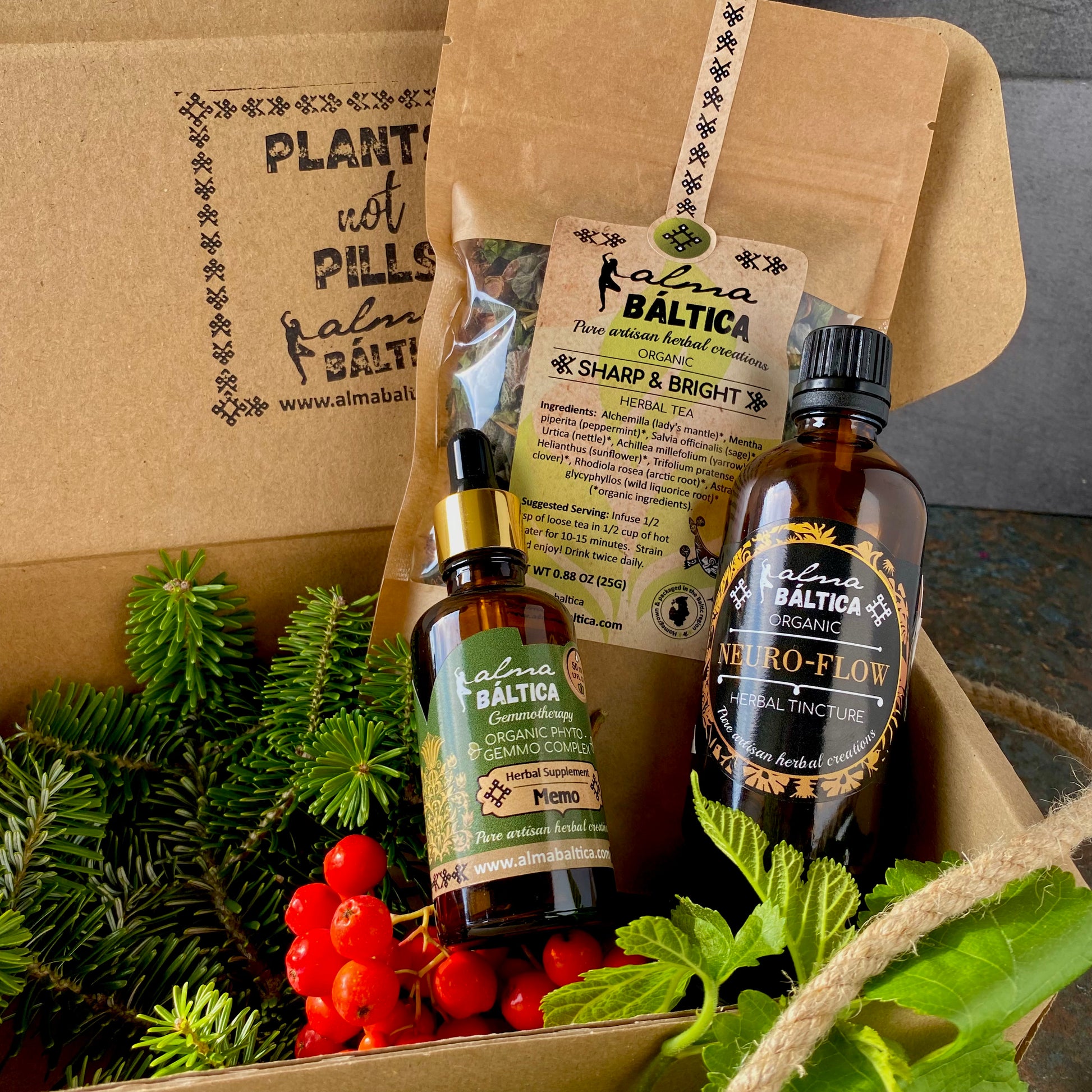 herbs for mental focus