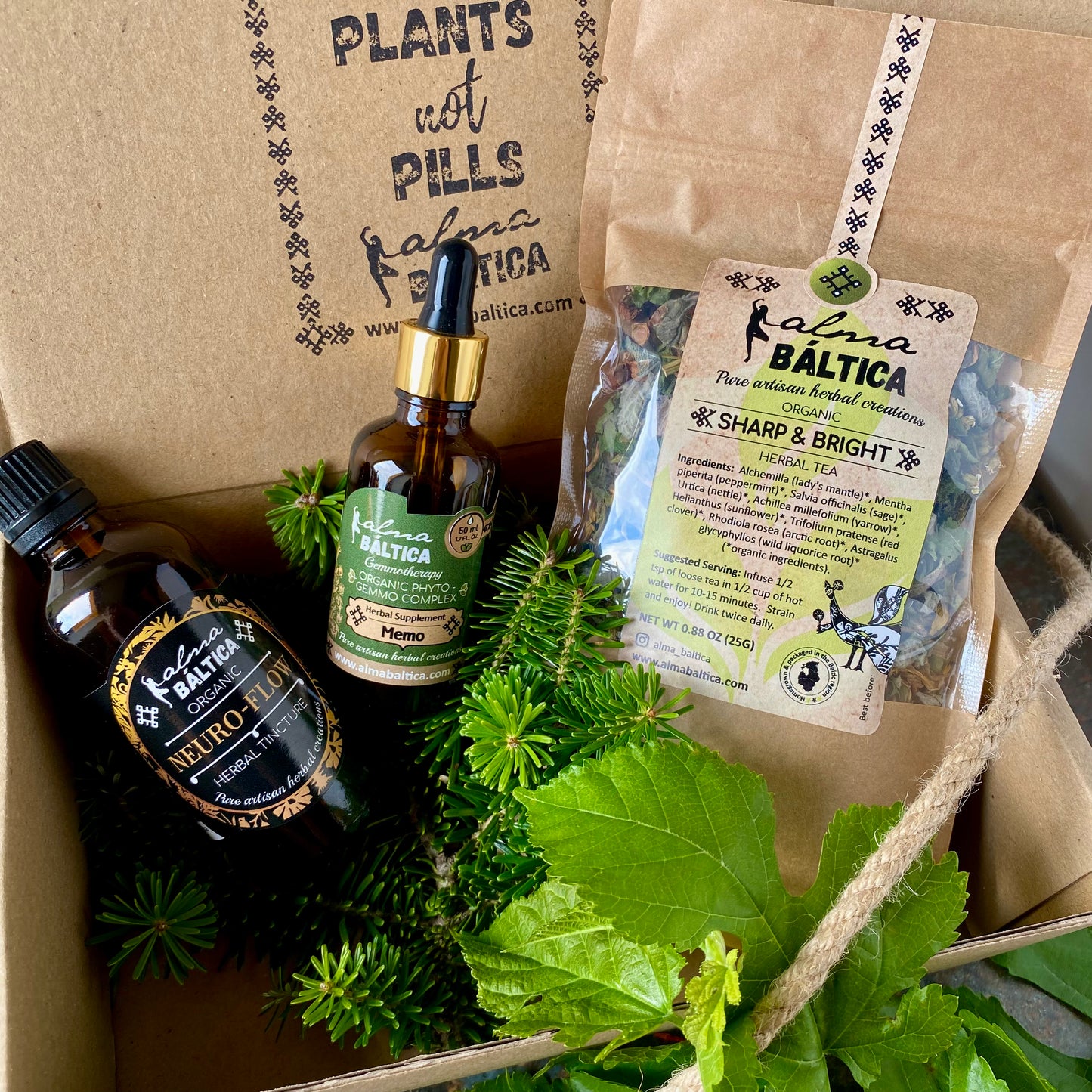 herbs for focus and memory