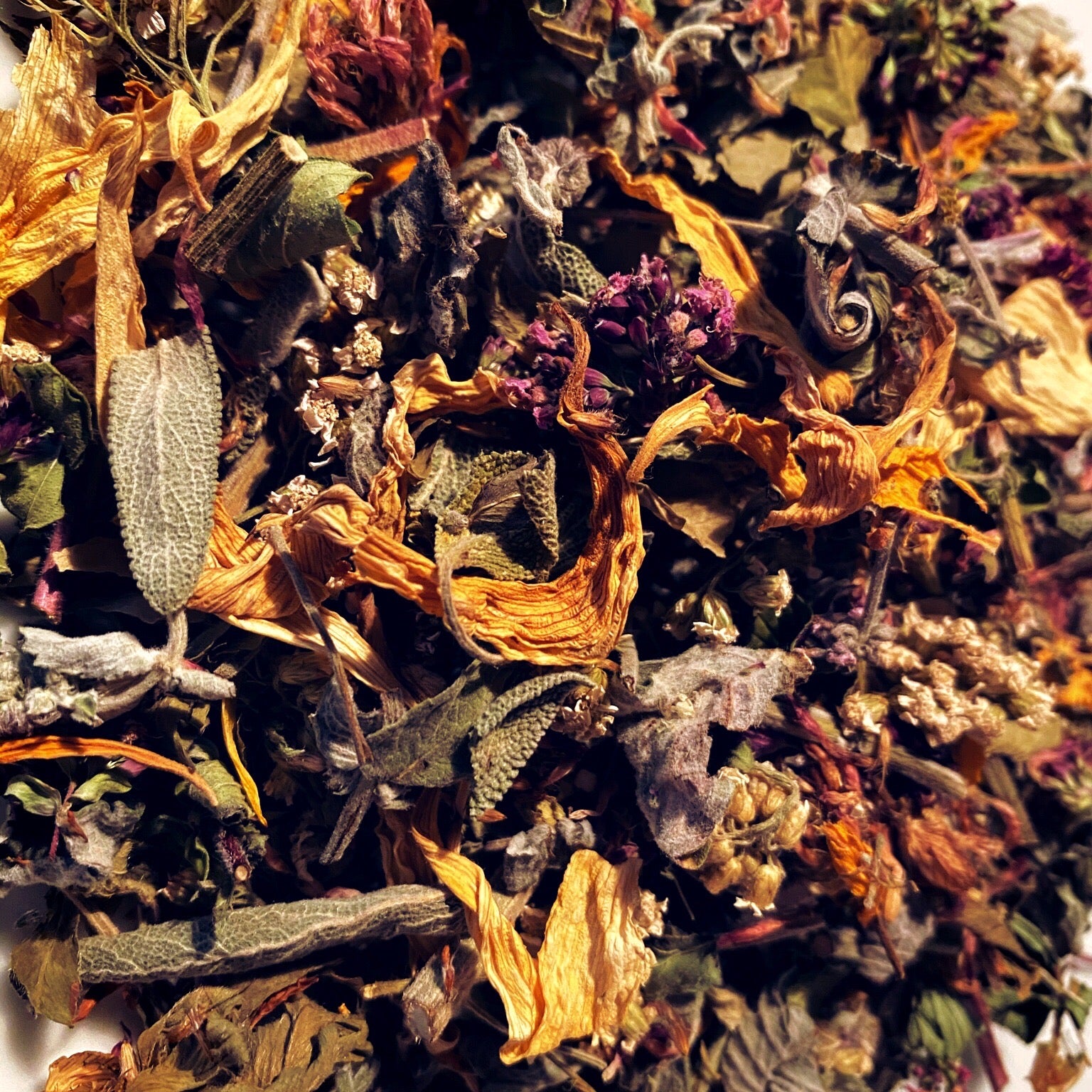 Tea for Mental Focus - Memory Booster | SHARP & BRIGHT – almabaltica.com