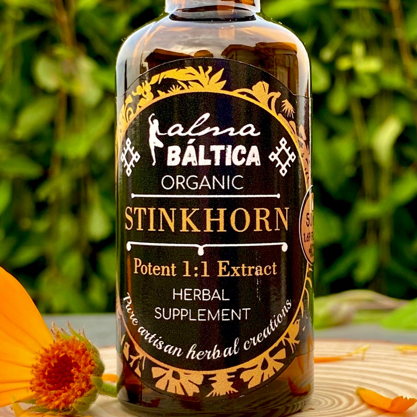 stinkhorn supplement