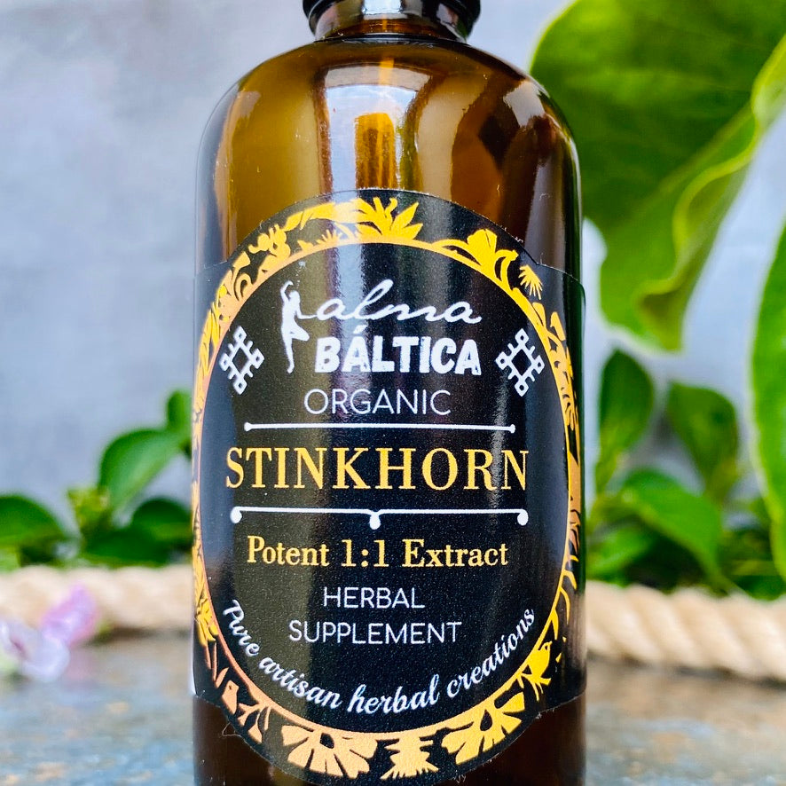 stinkhorn tincture organic